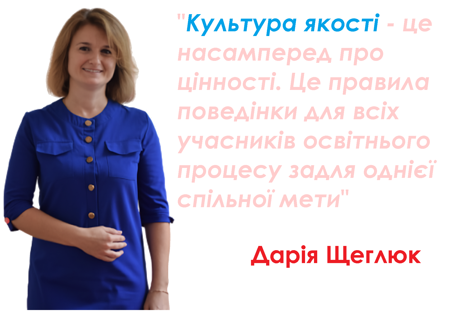 dvs_2